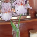 Heather Crombie - @crombie.heather - Instagram