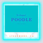 Heather & Shaun Cronk - @the_pampered_poodle925 - Instagram