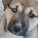 Heather Cronk - Facebook