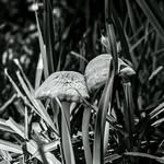 Heather Croson - @viridiaphotography - Instagram