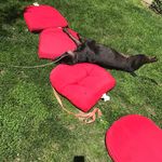 Heather Crouse - @hmcrouse1 - Instagram