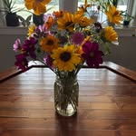 Heather McRorie Crump - @heather_m_crump - Instagram