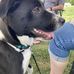 Heather Cullum - Facebook