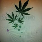 Heather Custer - @custer2413 - Instagram