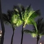 Heather Danielson - @heather1772 - Instagram