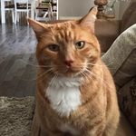 Heather Danner - @hjdanner10 - Instagram