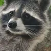 heatherinleather - @heatherdarkhenn - TikTok