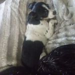 heather darnell - @darnell580 - Instagram