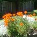 Heather Dawe - Facebook