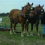 Heather Day - @heatherday4744 - Instagram