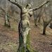 Heather Daye Barbee - Facebook