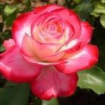 Heather Deane - Facebook