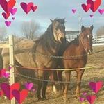 Heather Dearing - @pekeaboo75 - Instagram