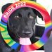 Heather Bartlett DeBusk - Facebook