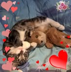 Heather Dedman - Facebook