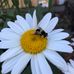 Heather Larrabee Deegan - Facebook