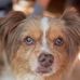 Heather Pickle-McNicol Deering - Facebook