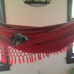 hrd - @heather_dejonge - Instagram