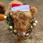 Heather Dell'Aquila - @secondchanceranch24 - Instagram