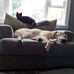 Heather DeMark - Facebook