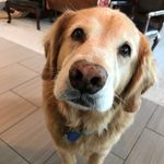 Heather Deringer - @hdspudmt - Instagram