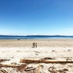 Heather Williams - @heatherderry - Instagram