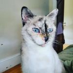 Heather DeShane - @heatherdeshane - Instagram