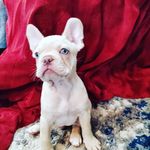 Heather DeVries - @devries_heather - Instagram