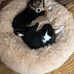 Heather Dewolfe - Facebook