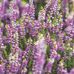 Heather Didier - Facebook