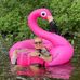 Heather Diedrich - Facebook