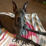 Heather Diehl - @hdiehl74 - Instagram