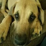 Heather Diehl - @diehlio1203 - Instagram