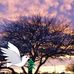 Heather Diggins - Facebook