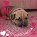 Heather Denise Dicello - Facebook