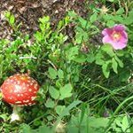 Heather Dingman - @heatherbcrafty - Instagram