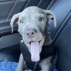Heather DePaola - Facebook