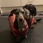 Heather Dobbs - @heatherjaned - Instagram