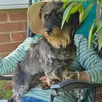 Heather Dobbs - Facebook