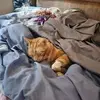 Heather Dobbs - @heather.dobbs11 - TikTok