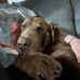 Heather Dollar Wright - Facebook