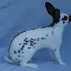 heatherdunaway - @heatherdunaway - TikTok