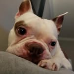 Heather Early - @heather.early.370 - Instagram