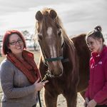 Heather Eason-Kriegel - @easonkriegel - Instagram