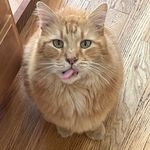 Heather Easterling Ritchie - @heasterlingr - Instagram