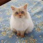 Heather Goley - @ebbsheather - Instagram