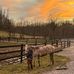 Heather Eberly - Facebook