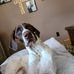 Heather Ebert - Facebook