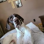 Heather Ebert - @heather.ebert - Instagram