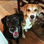 Heather - @heather.heebner - Instagram